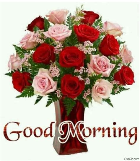 55 Good Morning Rose Flowers Images Pictures With Romantic Red Roses