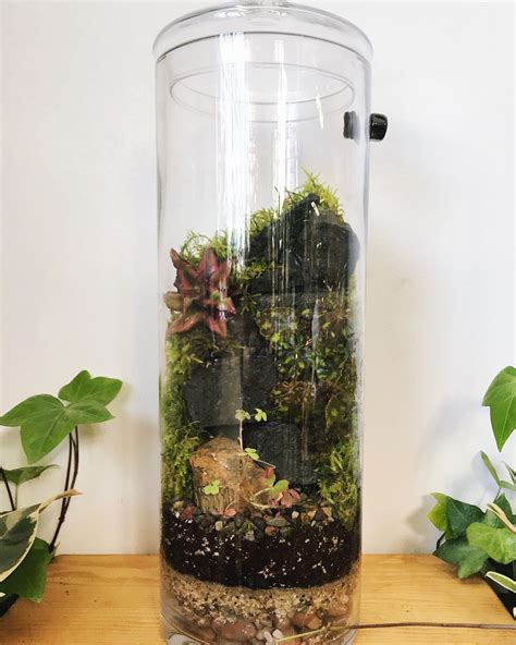 A Glass Jar Filled With Plants And Dirt