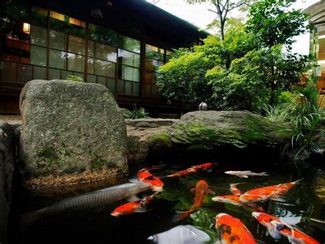 Japanese Garden Koi Pond