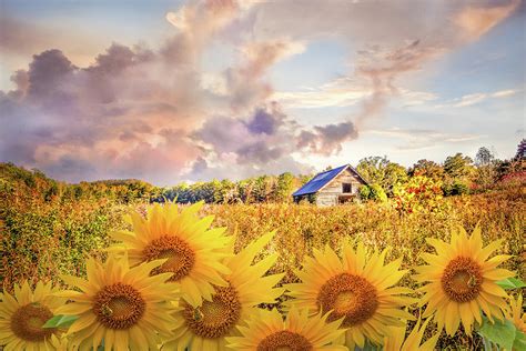 Sunny Summer Fields Photograph By Debra And Dave Vanderlaan Fine Art