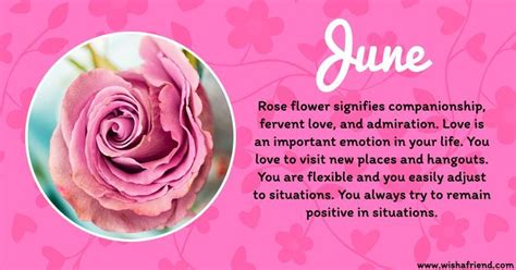 We've found a coupon code for 20% off at june flowers ae. June Birth Flower Rose | Birth flowers, June birth flower ...