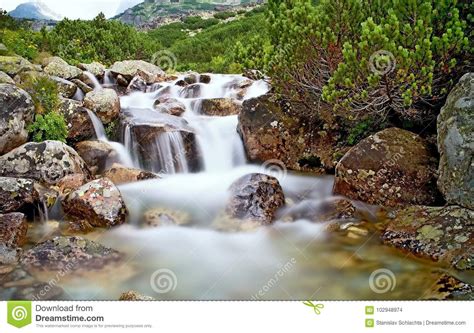 The Water Of A Mountain River With Rocks And Dwarf Pine