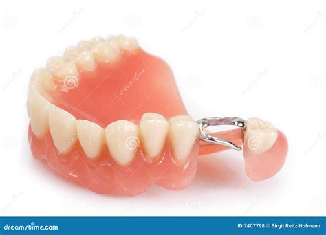 Dental Prosthesis Stock Photo Image Of Care Correction 7407798