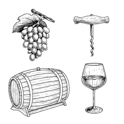 Premium Vector Wine Sketch Set Grape Corkscrew Wine Barrel Or Cask