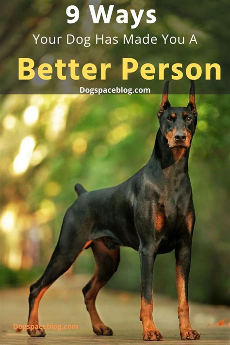 9 Ways Your Dog Has Made You A Better Person Dogspaceblog In 2023
