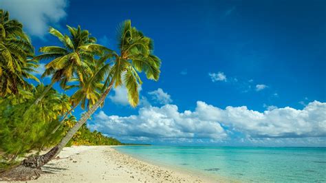 Nature Landscape Beach Sea Island Palm Trees Tropical Clouds
