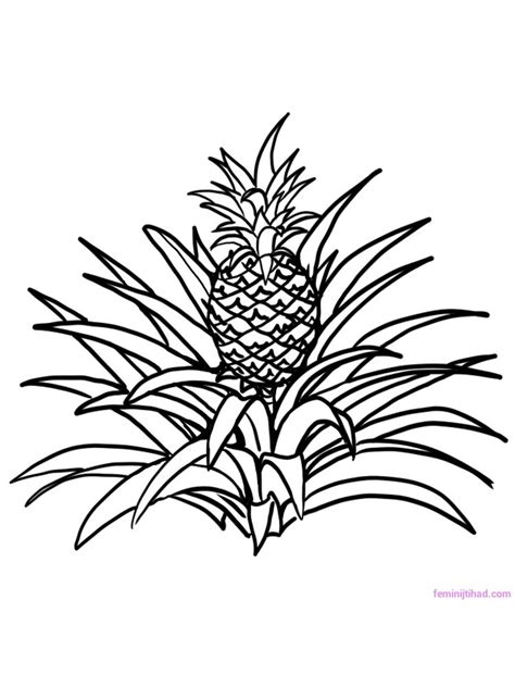 Printable Pineapple Coloring Pages For Kids Free Coloring Sheets