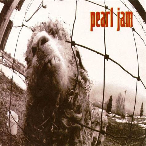 Pearl Jam Pearl Jam Albums Iconic Album Covers