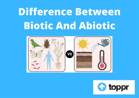 Biotic Vs Abiotic Factors Definition 10 Differences Examples