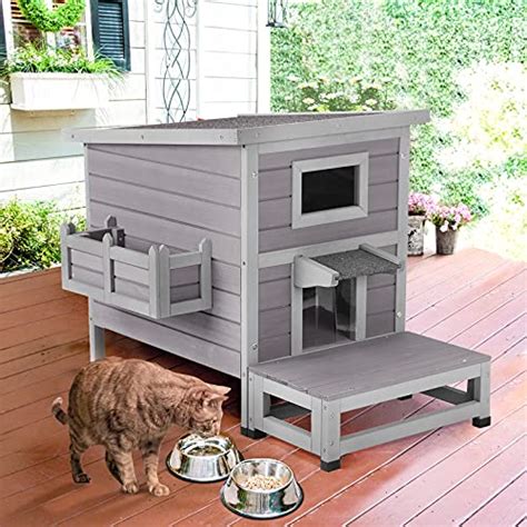 Best Petsmart Cat House Affordable And Cheap Price Tomo Studio