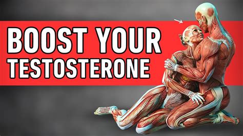 How To Increase Testosterone Naturally Youtube