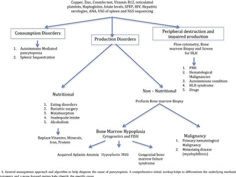 Figure 1 From Approach To Pancytopenia Diagnostic Algorithm For