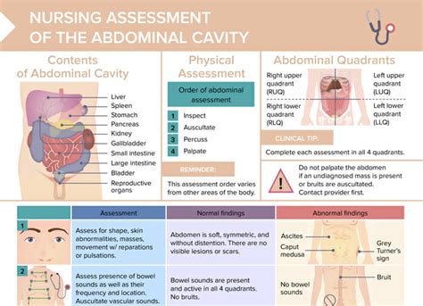 Abdominal Assessment Free Cheat Sheet Lecturio Nursing