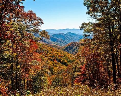 Smokies In The Fall Best Time To See The Colors