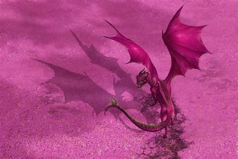 Pink Dragon Wallpapers Wallpaper Cave