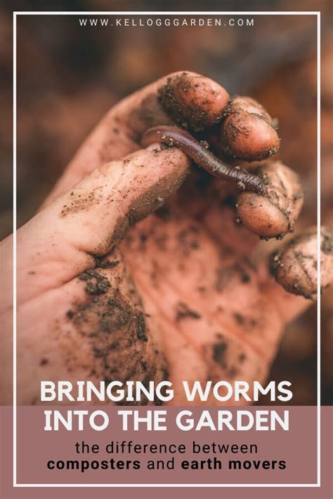 The Importance Of Garden Worms Kellogg Garden Organics