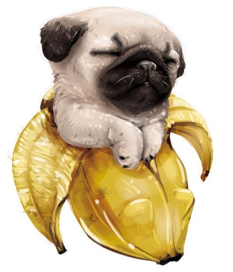 Banana Bruce Pug Cartoon Cute Pugs Pugs