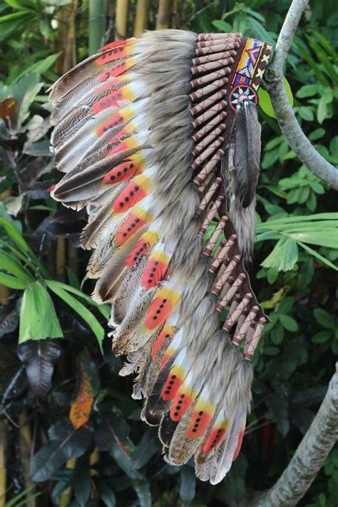 Red Indian Indian Head Native Indian Native Art Turkey Feathers