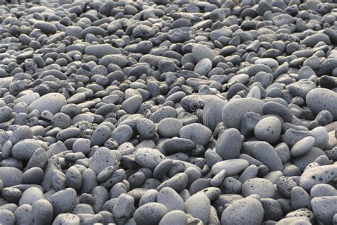 Pebble Washout Finish Whitewash Wall With Tree Pla Stock Photo Image