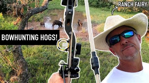 Bowhunting Big Hogs In Texas Wranch Fairy Youtube