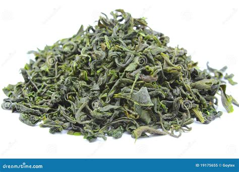 Dried Green Tea Leaves Stock Image Image Of Leaves Beijing 19175655