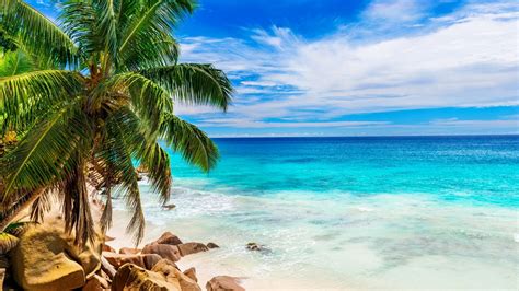 Wallpaper Id 177120 Rocks Isle Shore Sun Rock Palm Clouds Sea