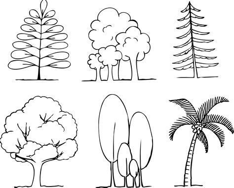 Como Desenhar Folhas De Arvores