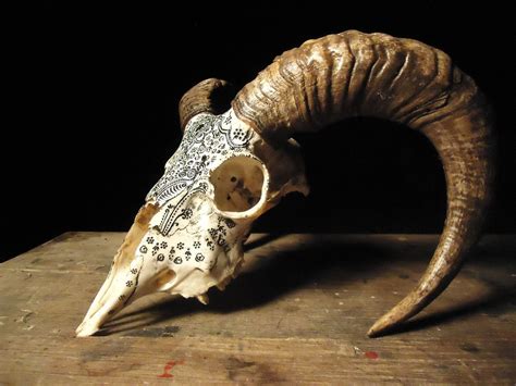 Skulls Ornately Carved By Jason Border “through Asylum Art Skull