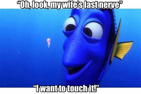 Morning Funny Meme Dump 35 Pics Finding Dory Memes Finding Nemo Nemo