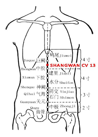 Why select healthcare acupuncture centre? Shangwan CV13: Nomenclature, Location, Functions ...