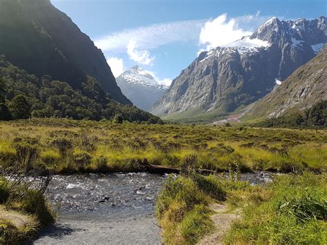 Monkey Creek Fiordland New Zealand 4032x3024 Oc Earth Pictures Day