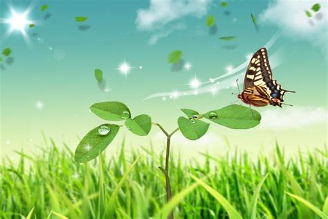 66 Butterfly Backgrounds ·① Download Free Stunning High Resolution