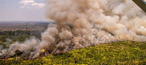 Amazon Rainforest Loss Approaches New Height Countervortex