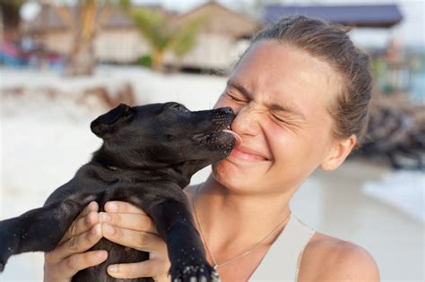 5 Celebrity Dog Lovers Who Rescued Their Pups Estilo Tendances
