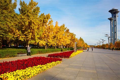Beijing Olympic Forest Park Autumn Editorial Image Image Of