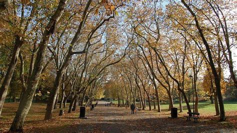 Green Spaces Have Lasting Positive Effect On Well Being Bbc News
