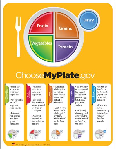 Myplate Poster For Adults