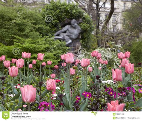Tulipanes Rosados En El Parque De París Foto De Archivo Imagen De