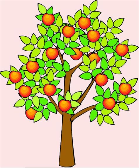 Мандариновое дерево рисунок карандашом и красками
