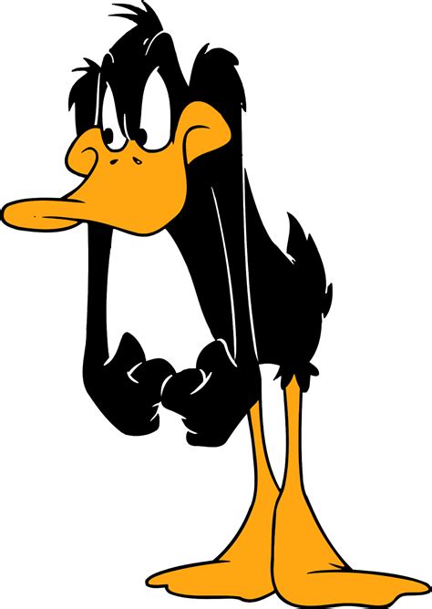 Download Daffy Duck Cartoon Character Daffy Duck Characters Looney
