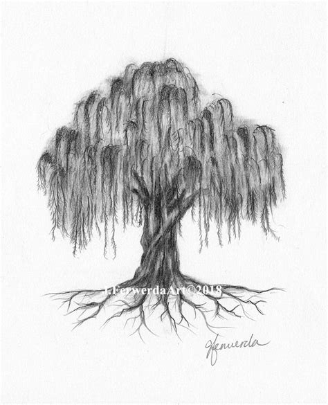 Pencil Drawing Print Willow Roots Etsy Israel