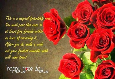 Valentine week starts with the rose day and followed by exciting days as propose day, teddy day, etc., which makes all week interesting and spreads love in. Happy Rose Day 2017 Wishes: Greetings, Images, Wallpaper ...