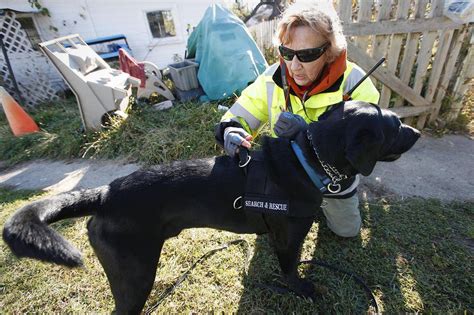 Volunteer Illinois Wisconsin Search And Rescue Dogs Has Served Mchenry