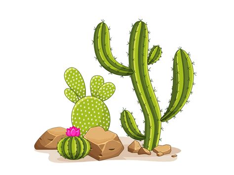 Cactus With Thorns And Stones Mexican Green Plant With Spines And