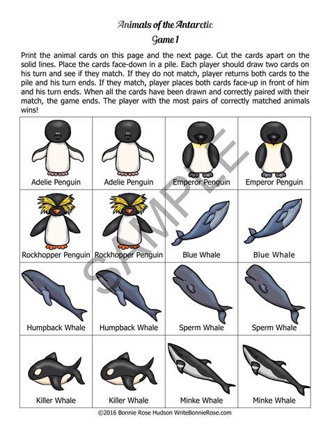 Animals Of The Antarctic Animal Facts Matching Game Made By Teachers