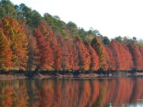 The Fall Foliage At These 8 State Parks In Nebraska Is Stunningly