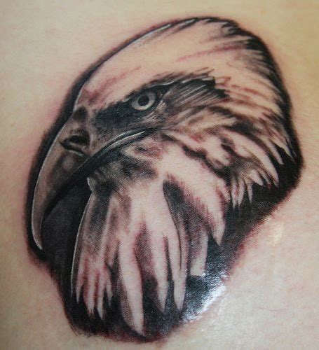 Tattoos Designs Art Eagle Head Tattoo