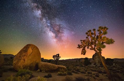 20 Best Joshua Tree Airbnb Top Picks For 2022 The Wanderlust Within