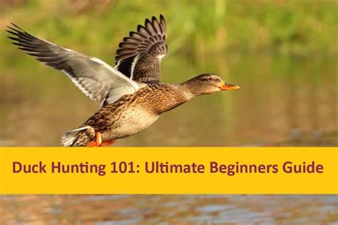 duck hunting 101 ultimate 2021 beginner s guide catch them easy