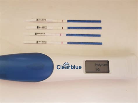 Can You Detect Pregnancy At 2 Weeks Pregnancy Test